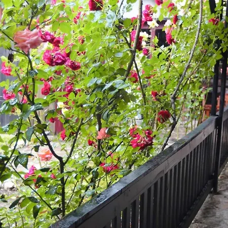 Casa de hóspedes C Dor De Vama Bedrooms Vama Veche