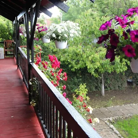 Pensiune C Dor De Vama Bedrooms 4*